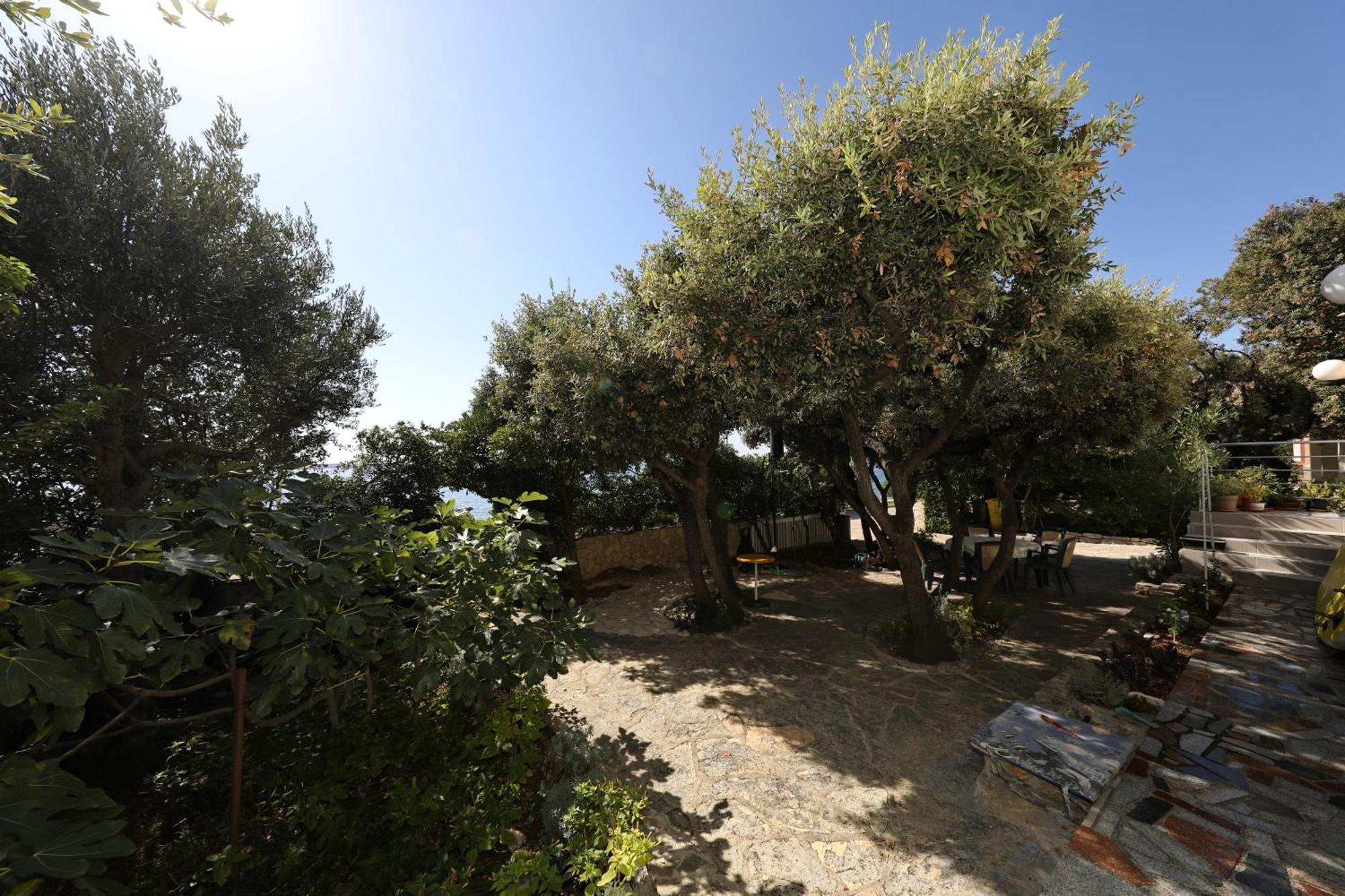 Horizonte Apartman Mandre Kültér fotó